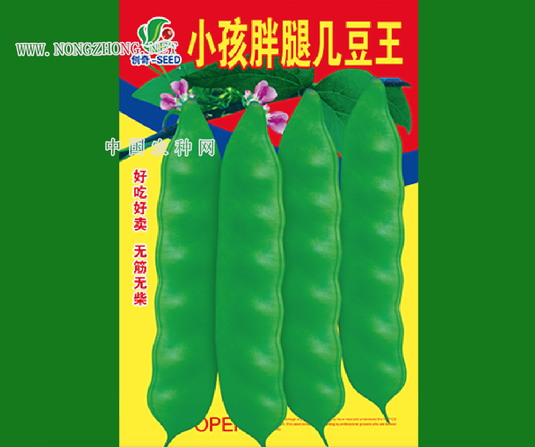 小孩胖腿几豆王